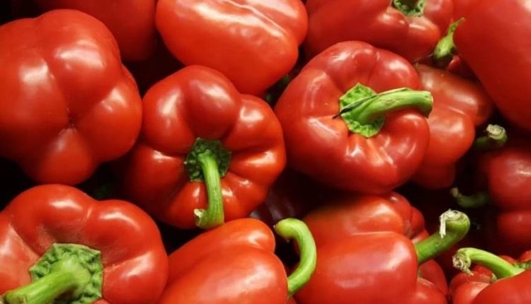 продукти харчування, перець