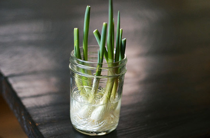 Вирощуємо всю зелень на підвіконні: магазин не потрібен