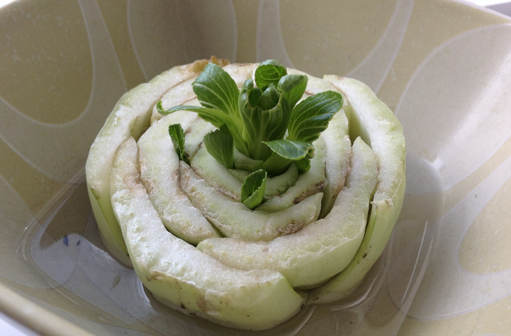 Вирощуємо всю зелень на підвіконні: магазин не потрібен