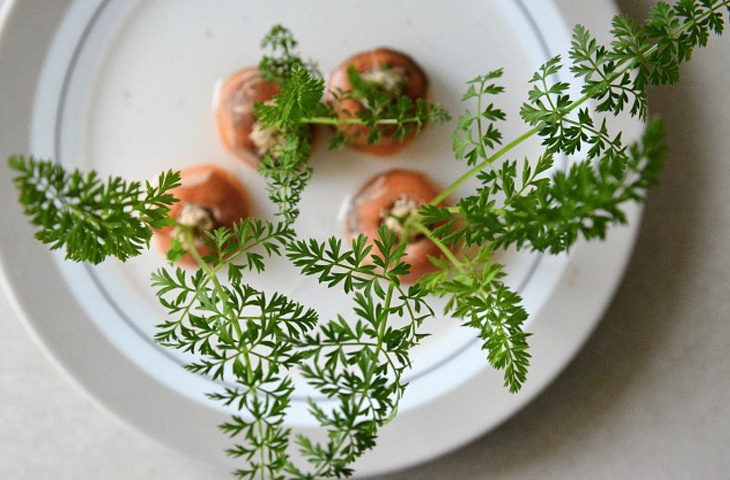 Вирощуємо всю зелень на підвіконні: магазин не потрібен