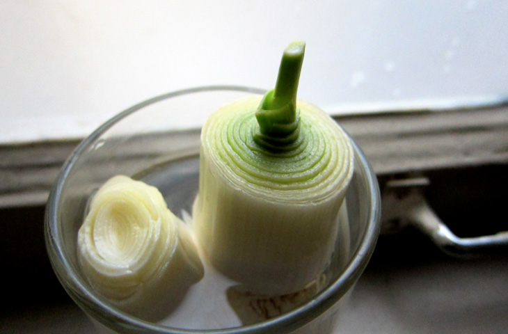 Вирощуємо всю зелень на підвіконні: магазин не потрібен