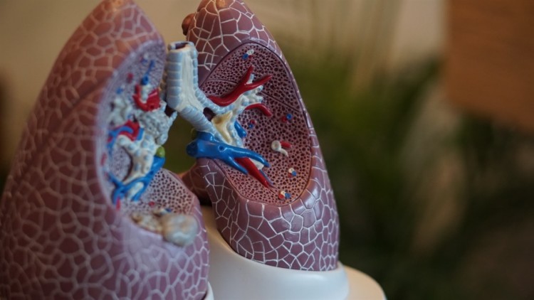Простий спосіб захистити легені від вірусів