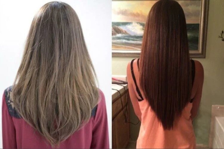 лисячий хвіст