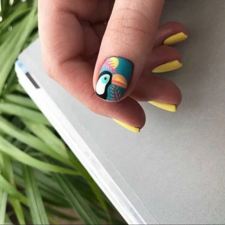 манікюр з папугою