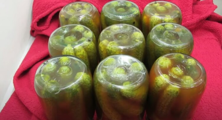 огірки з кетчупом