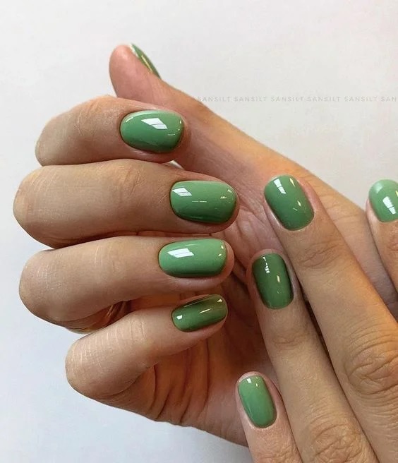 оксамитовий однотонний манікюр