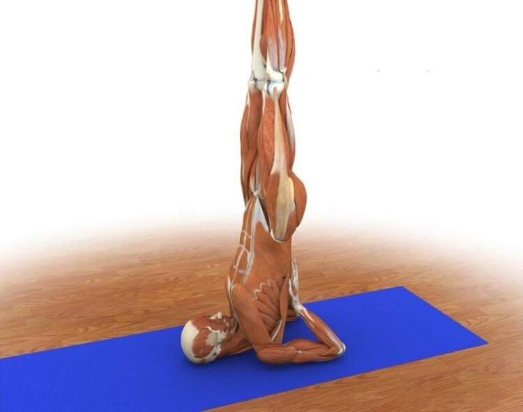 вправа 2 берізка