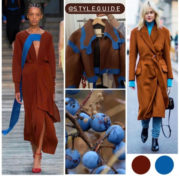 коричневий і блакитний