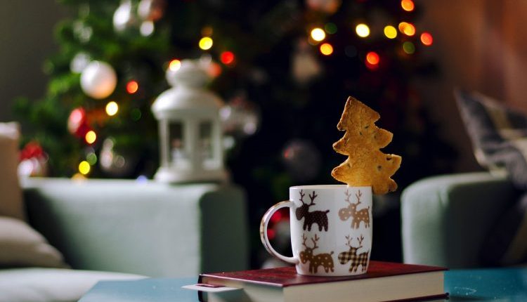 1482953482_chashka-kniga-pechene-elochka2